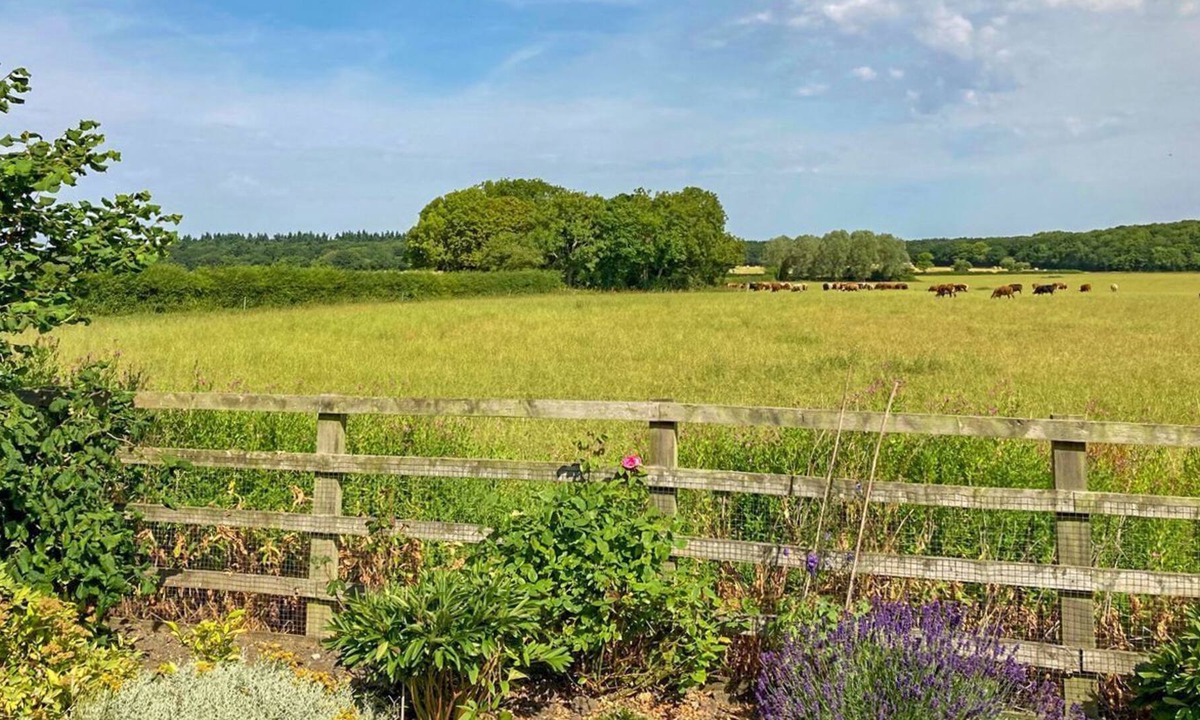 Market Rasen Cottage | 1 bedroom accommodation in Gautby