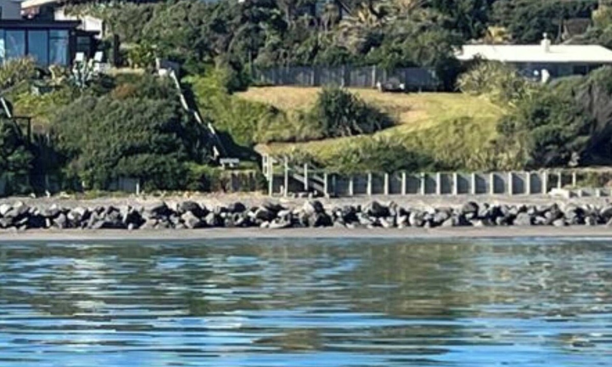 Raumati South House | Absolute Beach Front Luxury Holiday Home Swim Beach Spectacular Sunsets