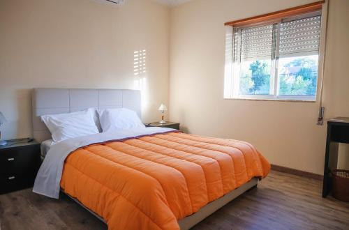 Braganca House | Alojamento Local do Arado