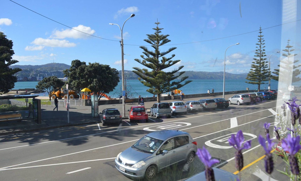 Wellington Apartment | Beach front house