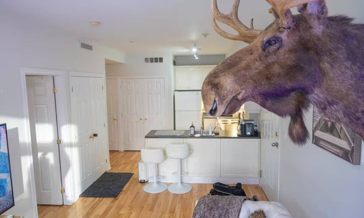 Church and Wellesley Condo | Beautiful Petit Gem Ap. In Downtown! Walk Anywhere