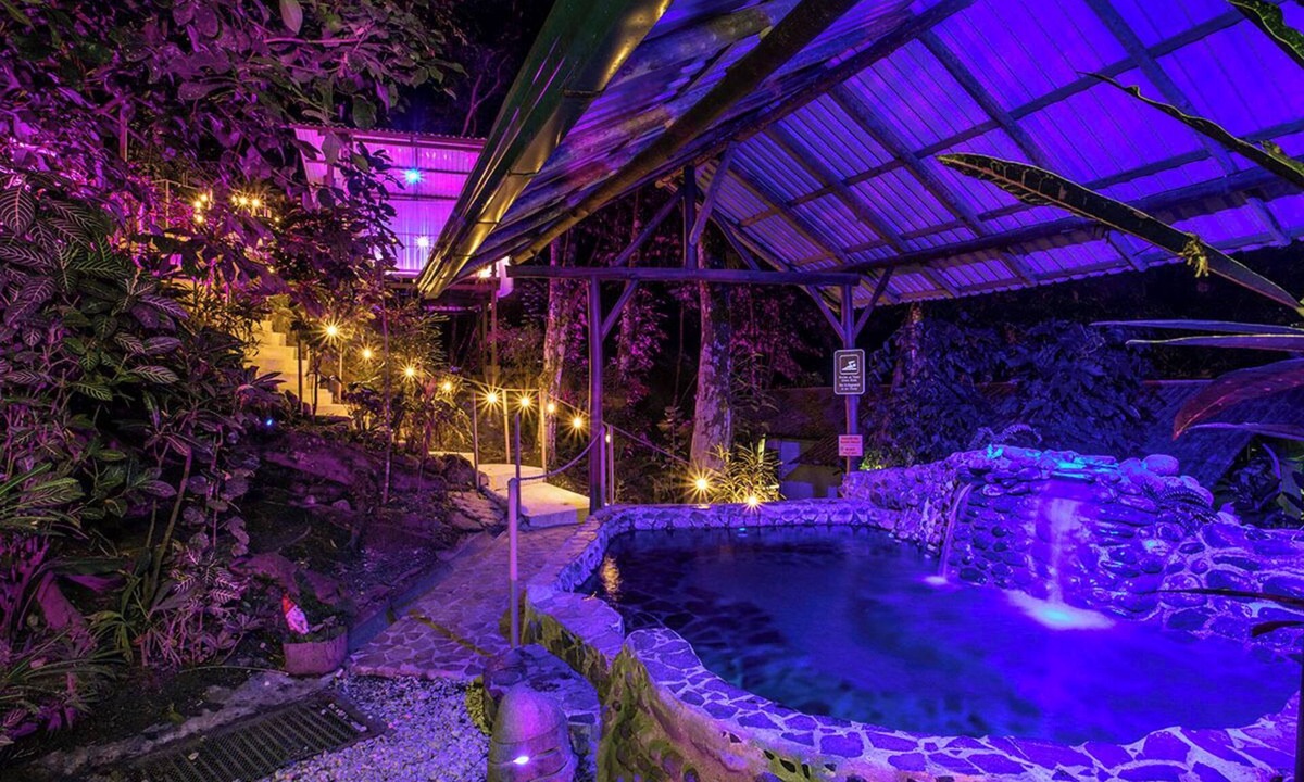 Valle Pura Vida Hotel | Casa del Arbol (Adults only)
