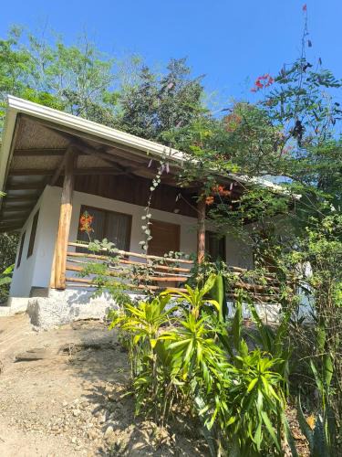 Manzanillo House | Casa Paraíso