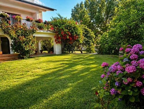 Tavarede House | Casa São José