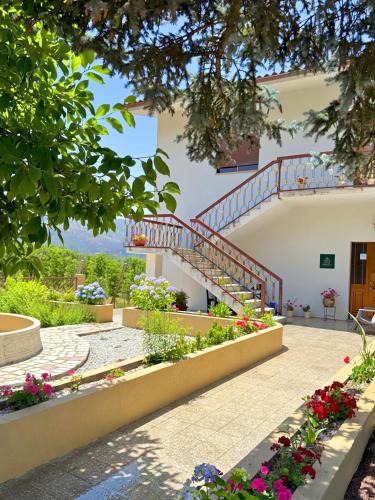 Lamego House | Casa Vicente