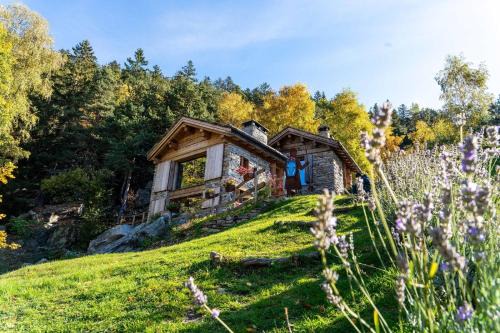 Valtellina House | Chalet Panorama Res Albert