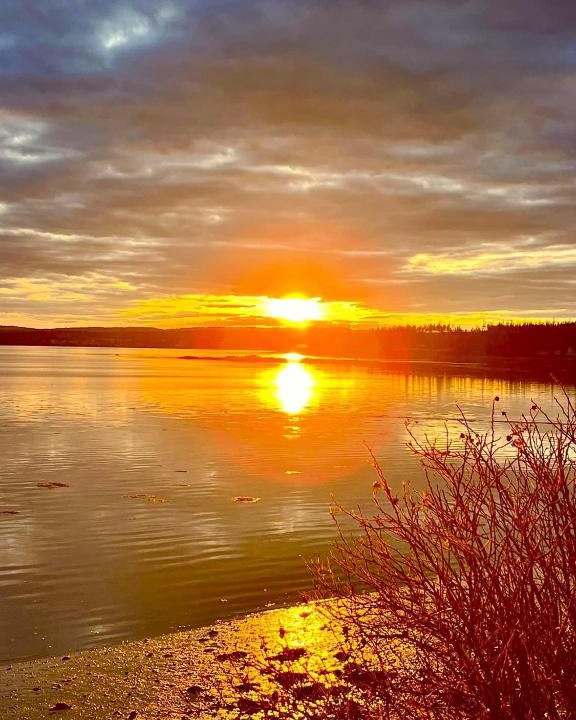 Chemainus House | Edgewater sunrise apartment