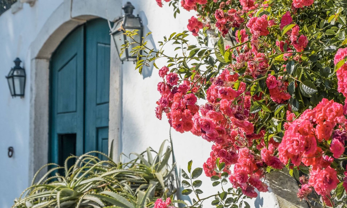 Cano Bed & Breakfast | Eighteen21 Houses - Casa dos Condes