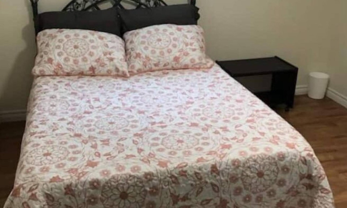 Lewisporte Apartment | Hillgrade Haven