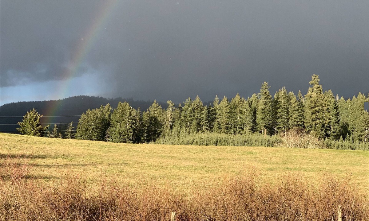 North Cowichan Other | LACEY MEADOWS Acreage