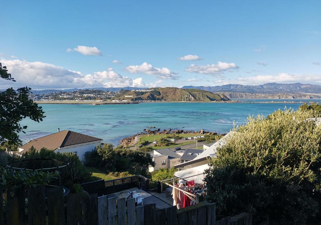 Lyall Bay Apartment | Laid-back Lyall self contained studio