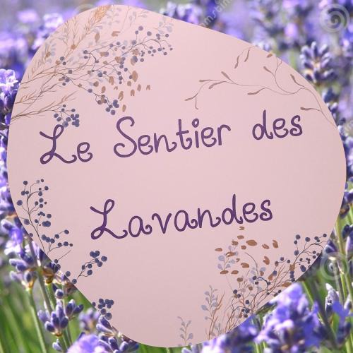 Membre Apartment | Le Sentier des Lavandes