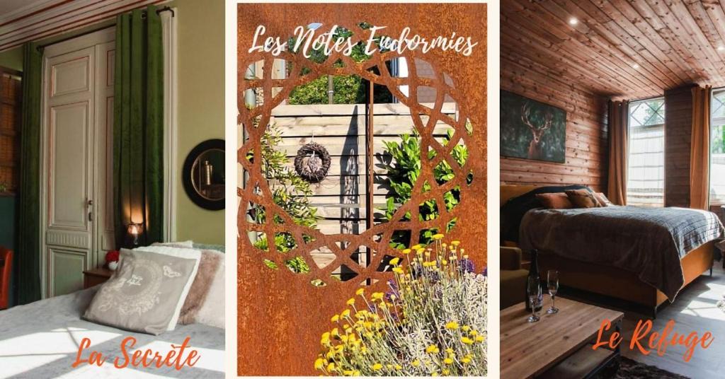 Walcourt Bed & Breakfast | Maison d'hôtes Les Notes Endormies adultes only