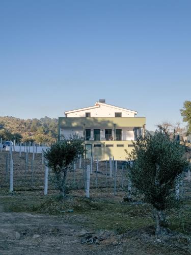 Pegarinhos House | Raposa Verde - Agroturismo