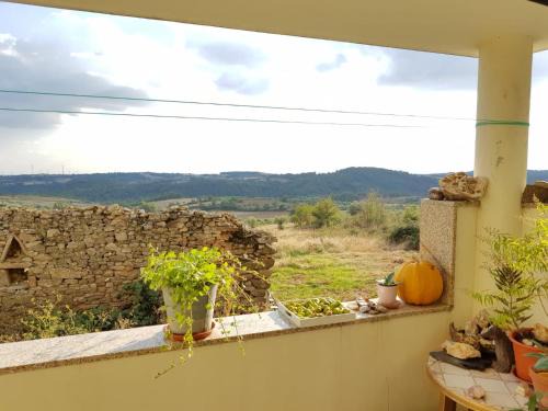 To House | Retiro Terrasol