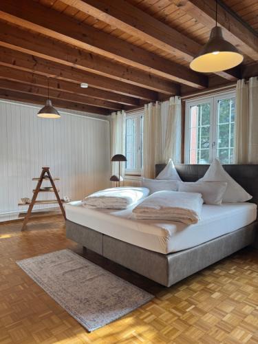 Glarus Sued Apartment | Schweizerhaus Glarus - Historisch & Stilvoll mit Garten