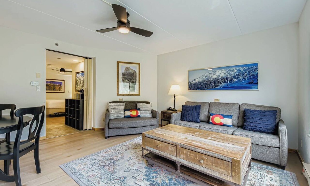 Peak 9 Apartment | Ski In Ski Out Studio, Dog Friendly, Hot Tubs, Building 4
