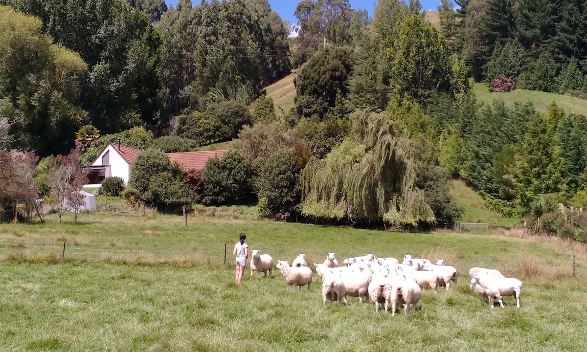 Hope House | Spectacular Hope Farm Stay