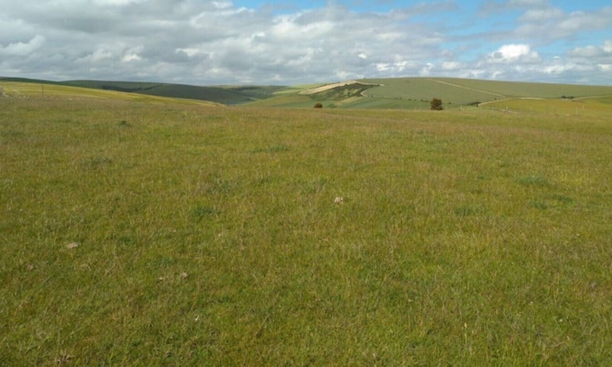 Rottingdean Cottage | Stag Cottage Rottingdean South Downs Great Walks