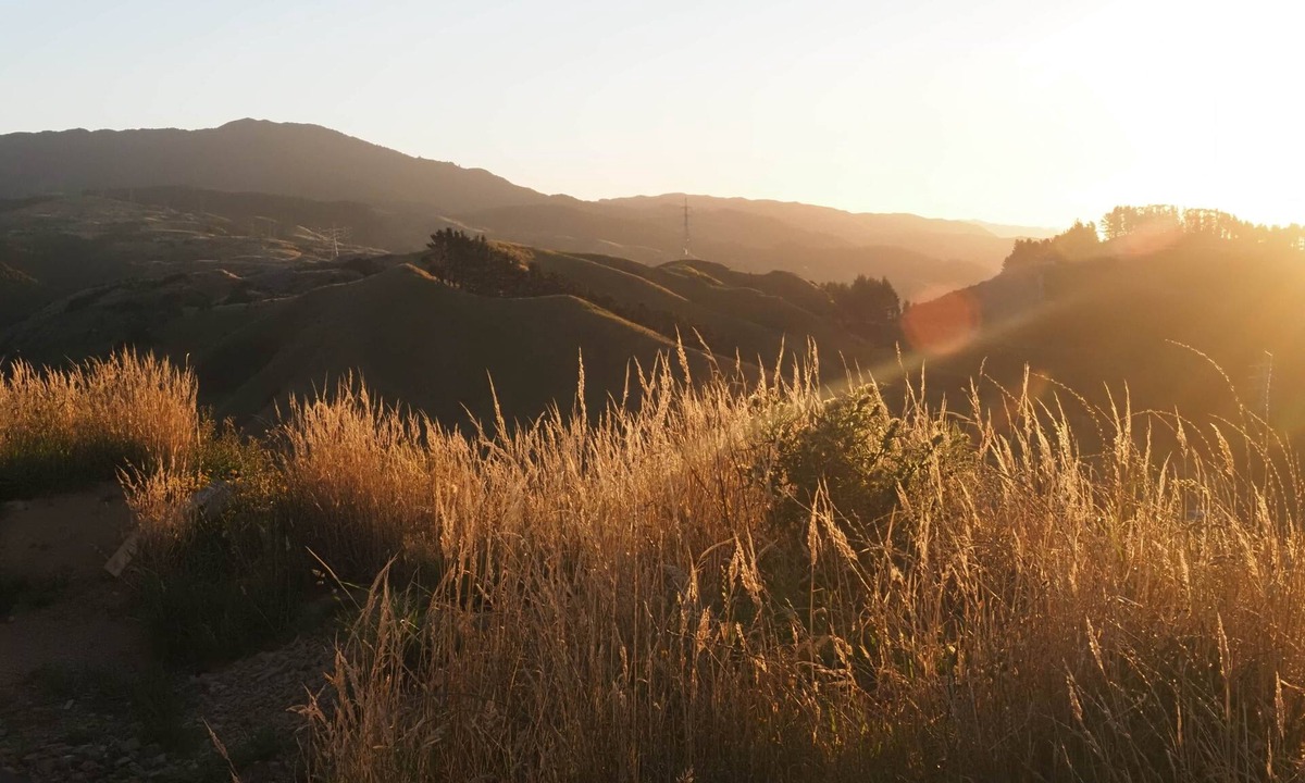 Paraparaumu House | The Hide Kapiti Accommodation