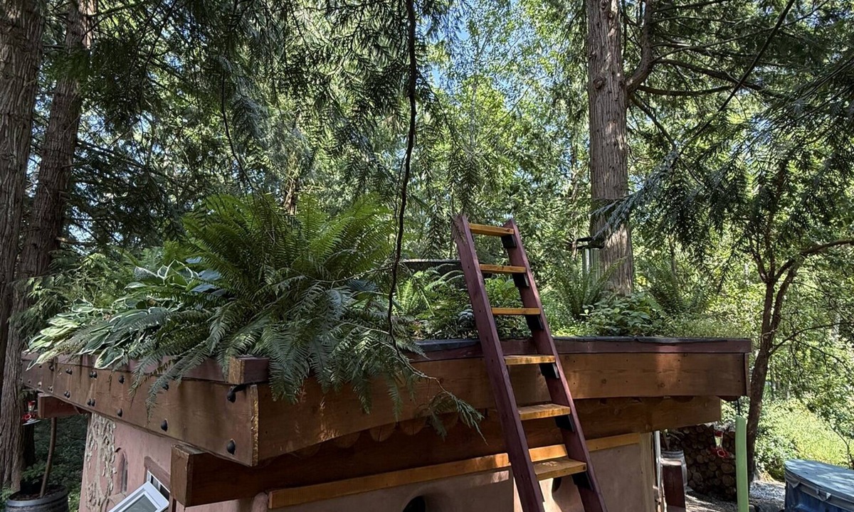 Shawnigan Lake Apartment | The Wobbly Hobbit- a unique cob studio in the forest.