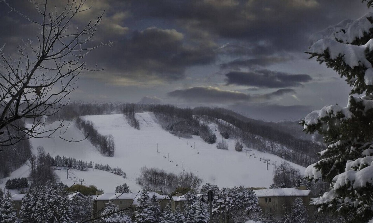 The Blue Mountains House | Wintergreen 2/min Village/Sauna