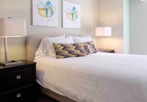 220 Deluxe Downtown Apartment with AC