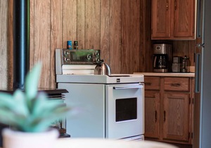 Bowerbird Beach Camp Cabin #5