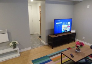 Fantastic & Modern Downtown 1-Bed Basement Apt. Parking, WiFi & Netflix included