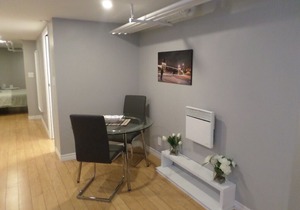 Fantastic & Modern Downtown 1-Bed Basement Apt. Parking, WiFi & Netflix included