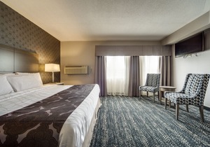 Monte Carlo Inn - Brampton Suites
