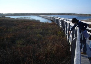 Sunset Cottage #2 near beaches, golfing, trails, shopping and local attractions!