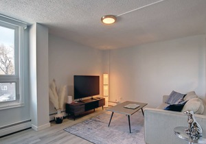 URBAN NEST Entire Cozy condo in trendy Kensington