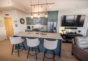 Victoria's SEA-Cret-Stunning Olympic and Inner Harbour Views from 450 sq ft Balcony