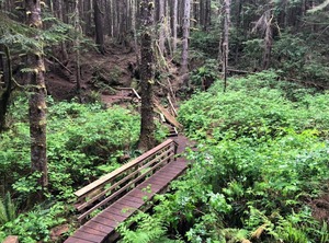 Broomhill Getaway | Sooke