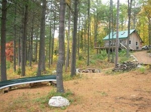 Nestled Wooded Acres | Dysart et al