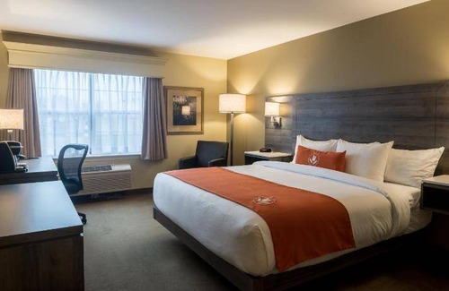 Moncton Hotel | 49 m² Motel ∙ 127 guests