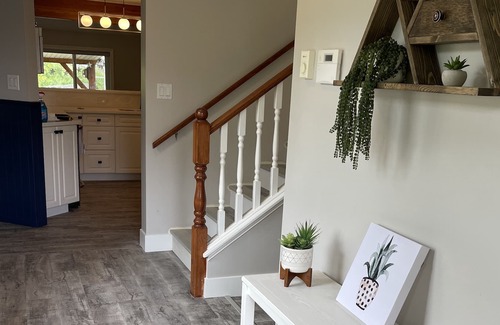 Lake Cowichan House | Lakey McLakehouse