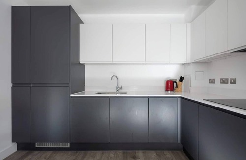 Stratford and New Town Apartment | 2 mins walk from UCL campus & London stadium