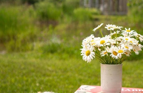 Carrying Place Bed & Breakfast | 28 m² Bed and breakfast ∙ 2 guests