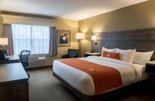 Moncton Hotel | 49 m² Motel ∙ 127 guests