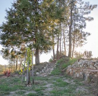 Barcouco House | A Casa do Olival