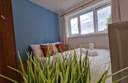 Rugby House | A spare room in a quite cul de sac