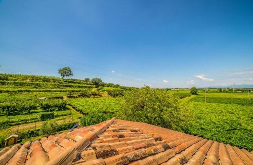 Castelnuovo del Garda House | Agriturismo Corte Albarel