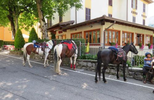Maggio Hotel | Albergo Maggio