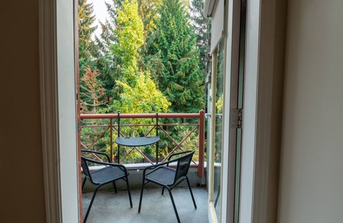 Village North Condo | Alpenglow Lodge Large Studio by MVA