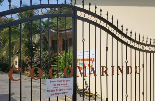 Coco Condo | Amazing Pool, Tropical Gardens, Walking Distance to the Beach