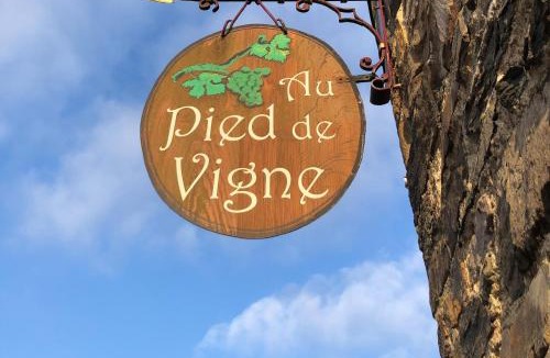 Vresse-sur-Semois Apartment | Appart Hotel Au Pied de Vigne