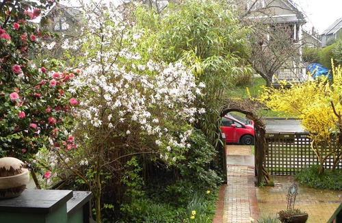 Mount Pleasant House | Beautiful Victorian Home - Central Vancouver!