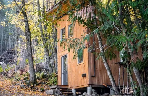 Nelson Cabin | Bees Knees in the Trees Tiny Home - Hot Tub & Sauna
